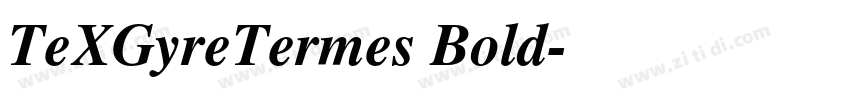 TeXGyreTermes Bold字体转换